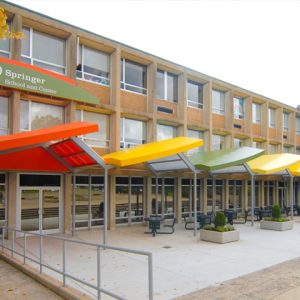 Springer Campus