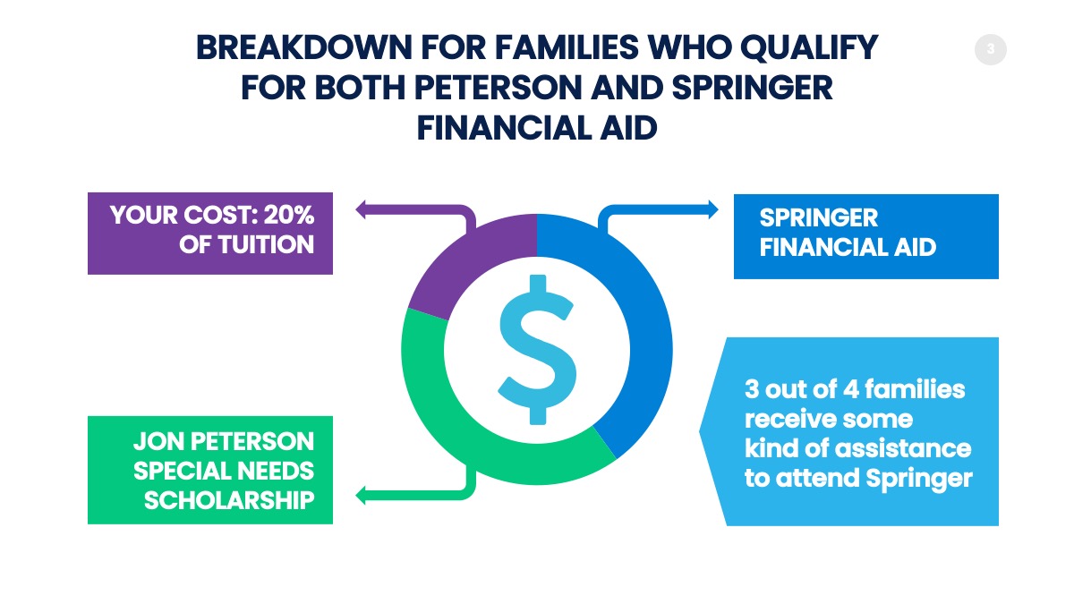 affording springer infographics